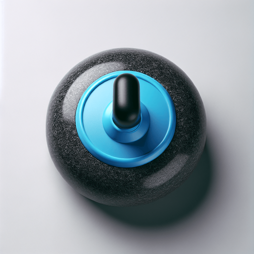 Curling stone, black stone and blue top, top view..
